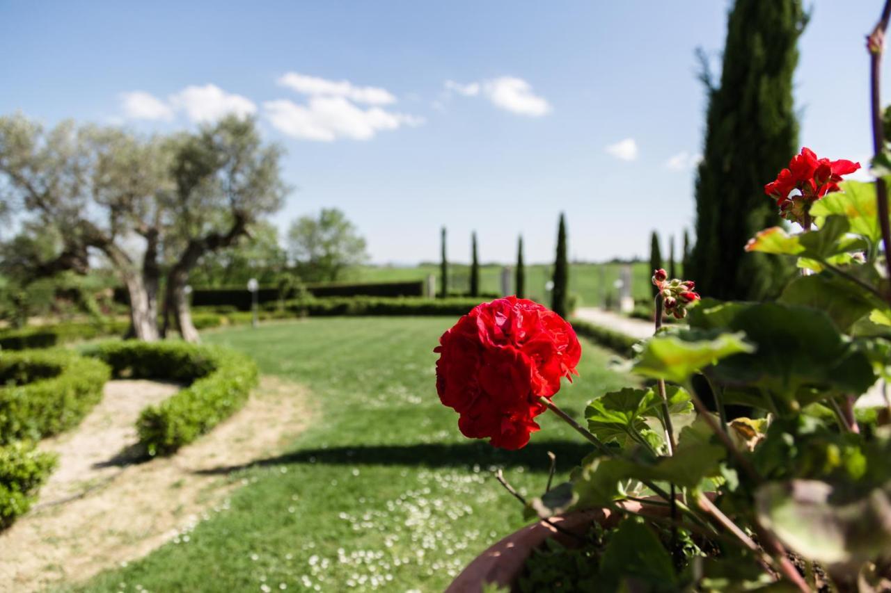 Podere San Giuseppe Bed & Breakfast Castiglione del Lago