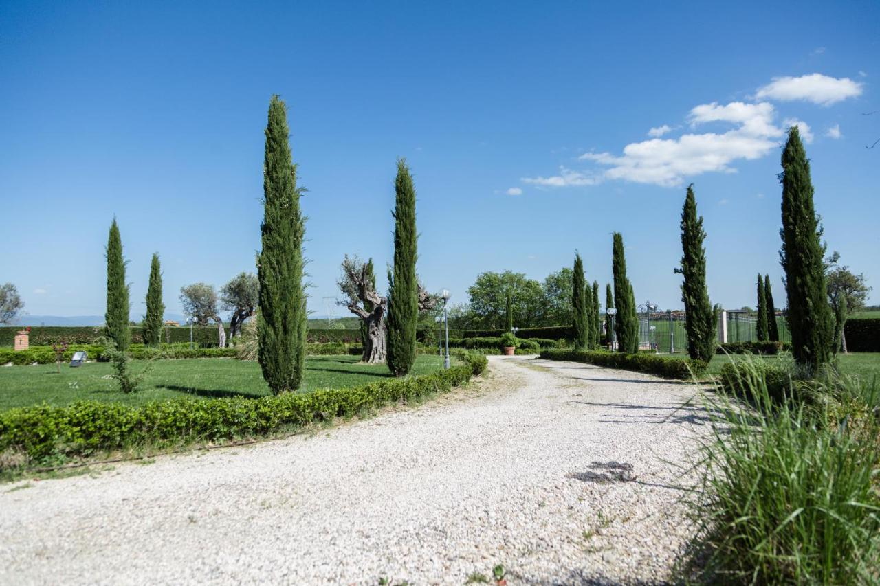 Podere San Giuseppe Bed & Breakfast