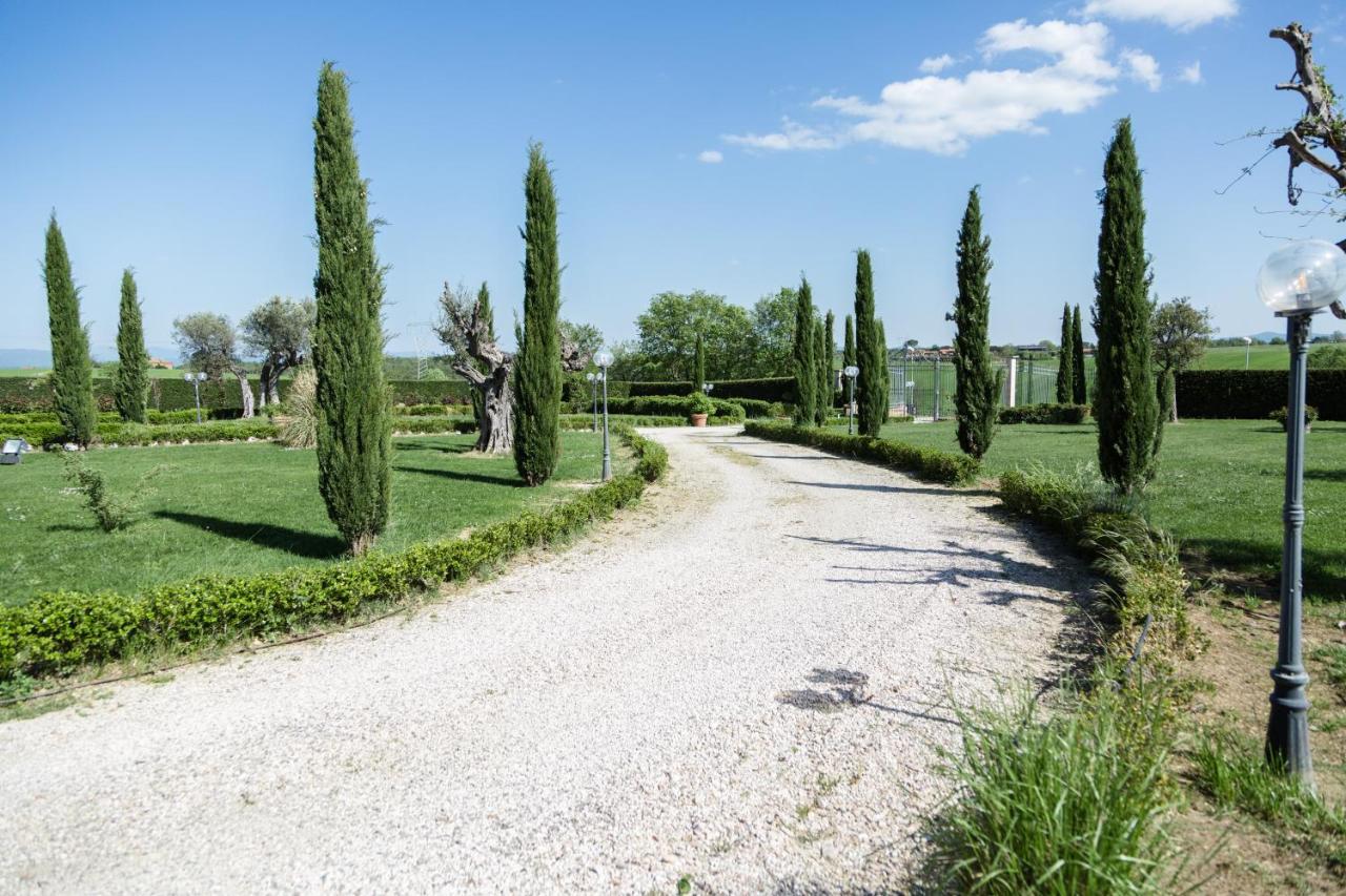 Podere San Giuseppe * Castiglione del Lago