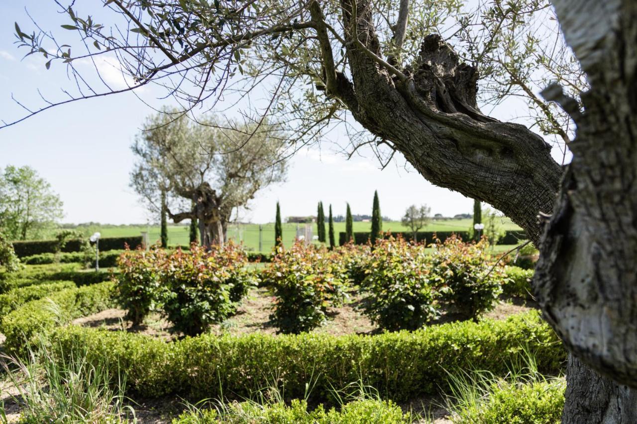 Bed & Breakfast Podere San Giuseppe