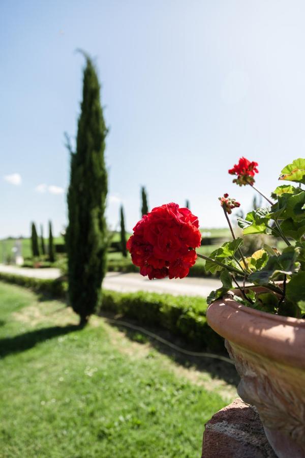 Podere San Giuseppe Bed & Breakfast