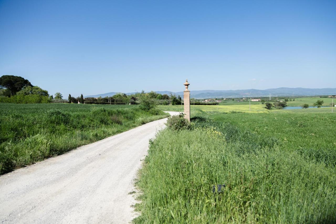Podere San Giuseppe Bed & Breakfast Castiglione del Lago